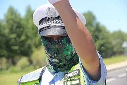 哈巴河北湾蚊虫王国,蚊虫王国哈巴河