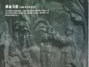 上海一周区情:申城街头添“小蓝车”金山大桥改扩建动工