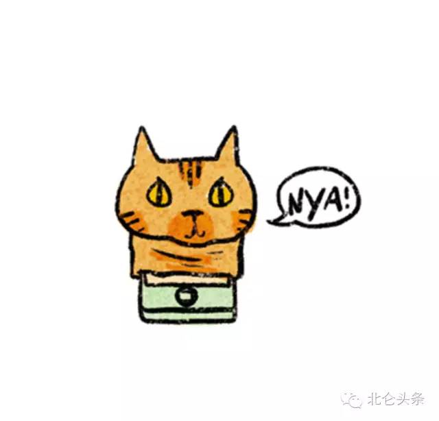 北仑民宿哪里好玩,北仑特色民宿