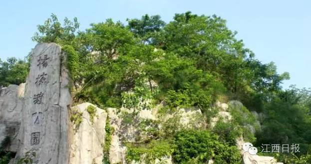 最佳赏桂花地点手绘地图,桂花赏花地图