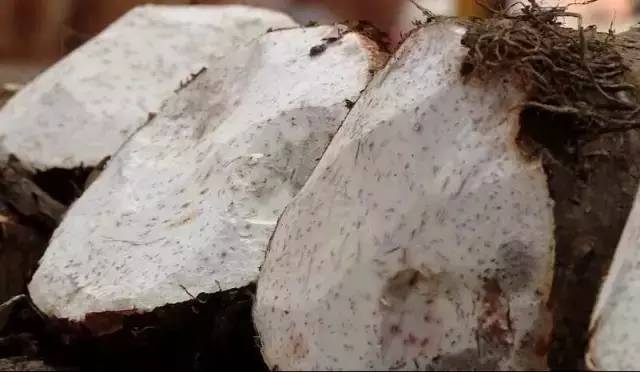 荔浦芋最好吃的做法,吃一整个荔浦芋头