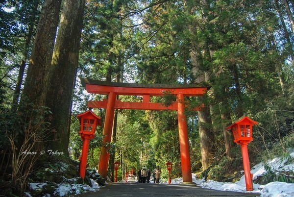 去箱根泡温泉要多少钱,箱根有专门泡温泉的地方吗