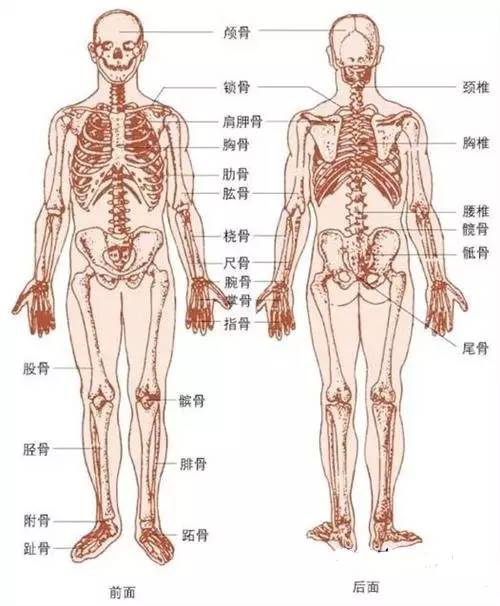 人马qa真的有用吗,人马qa真的有效吗