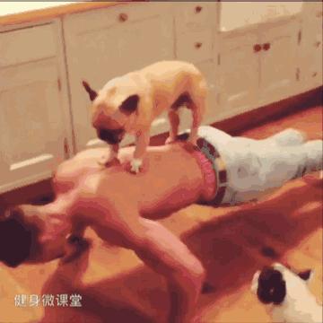 肌肉最猛而且非常帅的肌肉男,180斤胖子和180斤肌肉男对比图