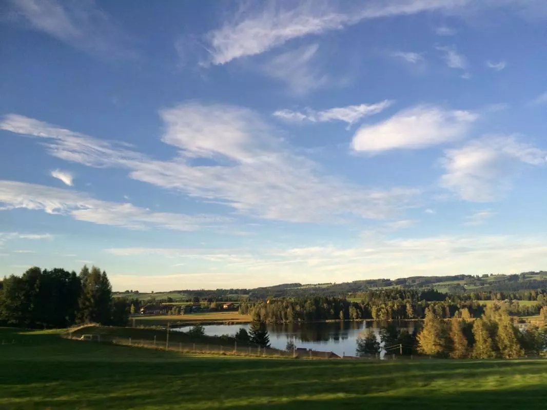 蓝瘦香菇在这里视频,蓝瘦香菇在法国