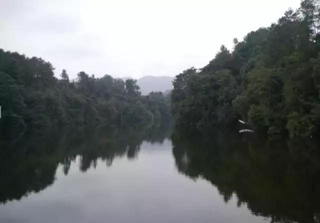 周末自驾采摘一日游,周末自驾游误入一个世外桃源