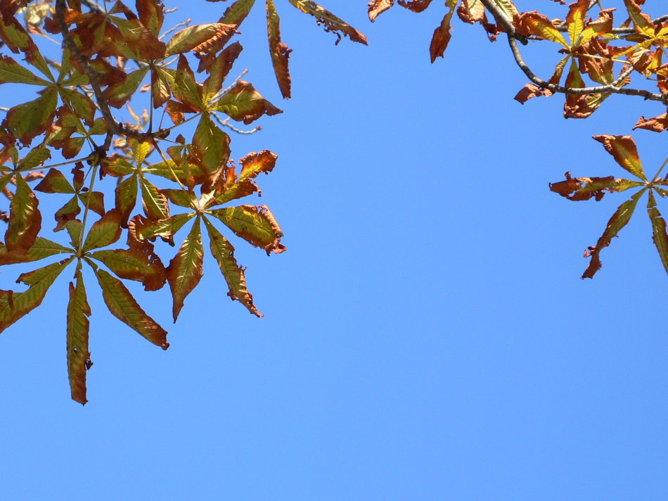 马德里不思议原版,马德里不可思议完整视频