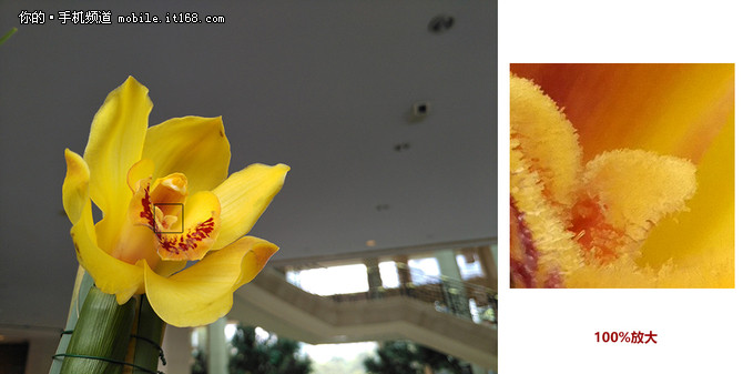 情怀落地,锤子情怀