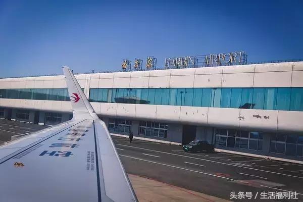 什么能够代表哈尔滨,哈尔滨代表人