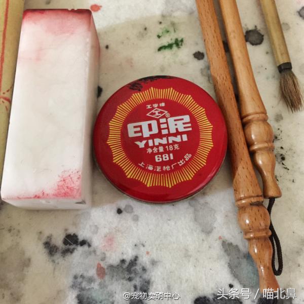 小猫吃猫砂会中毒吗,猫奴求助