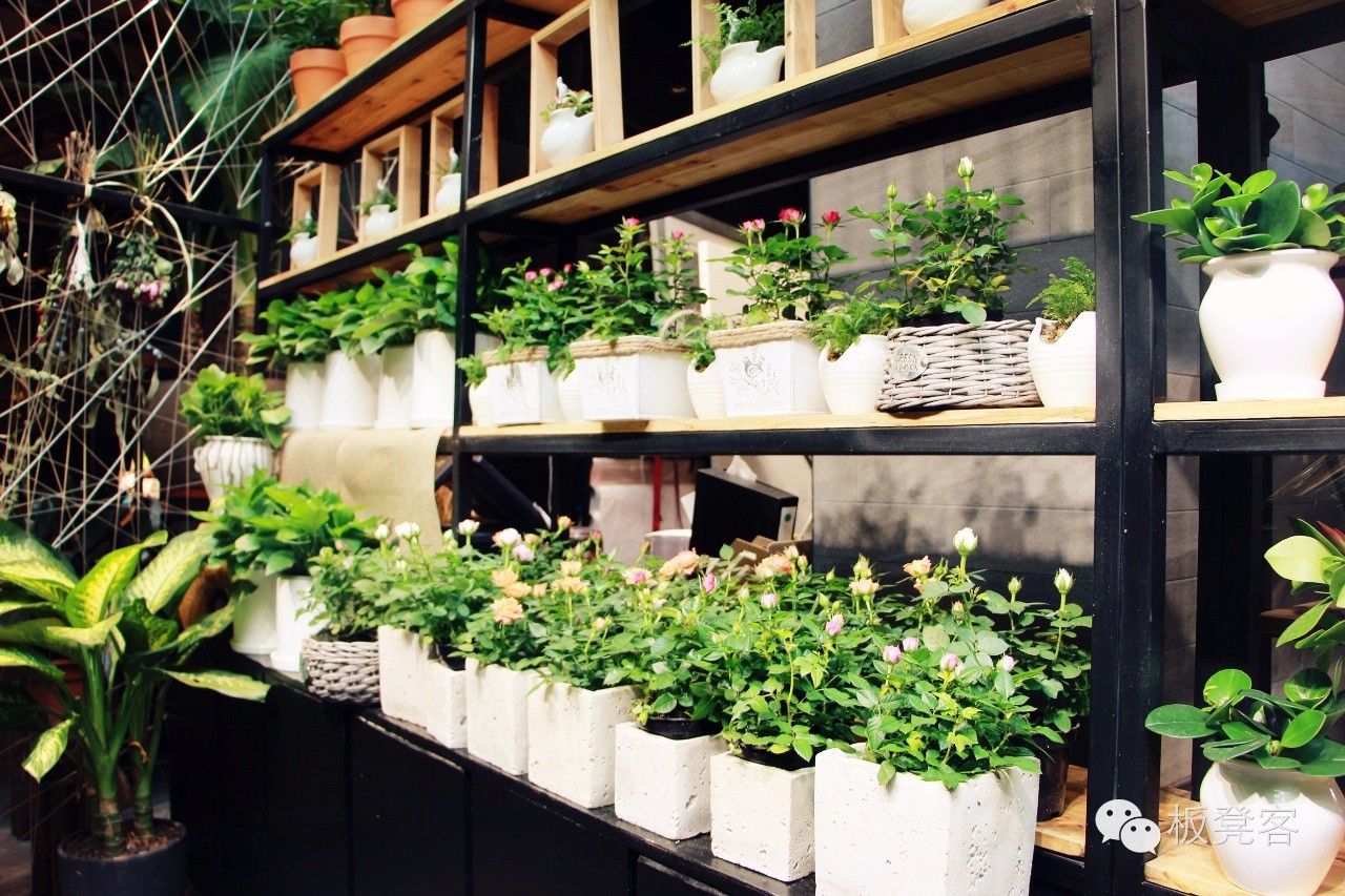 一家书店怎么经营,一家书店怎么进入市场