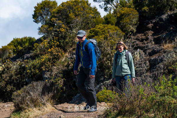 传说中的金银岛1993,金银岛宝藏传说是真的还是假的