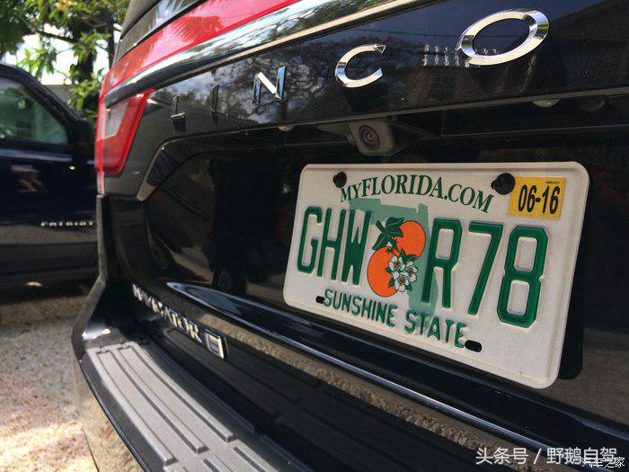 野鹅旅行,野鹅自驾无人区