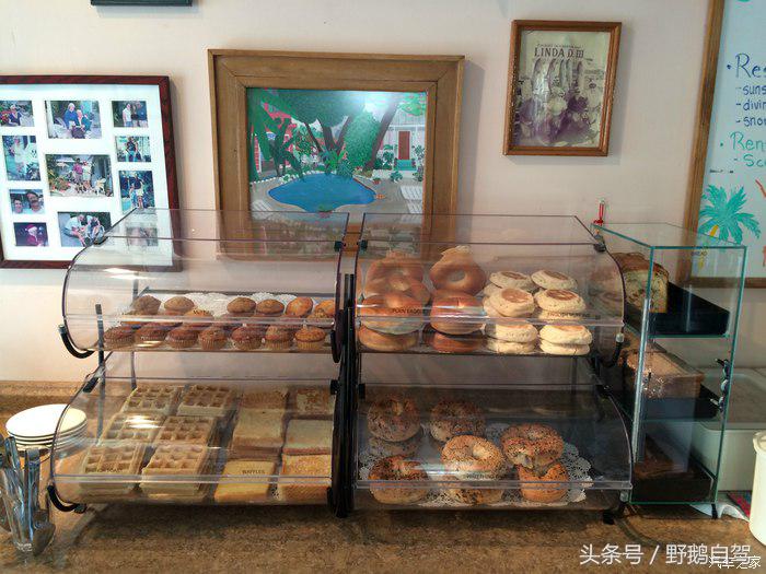 野鹅旅行,野鹅自驾无人区