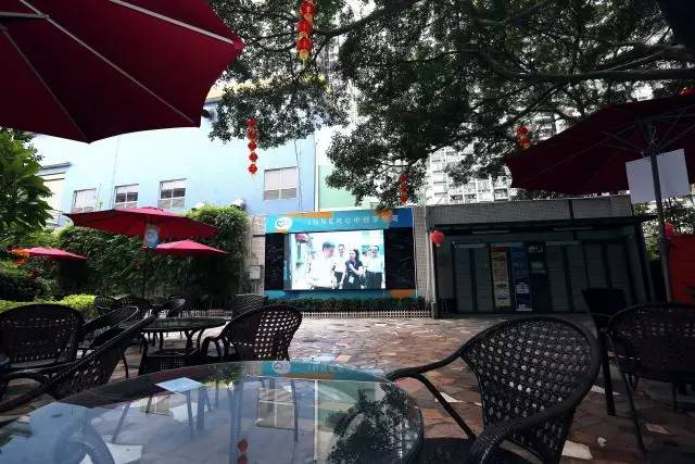 城事,城事完整版视频