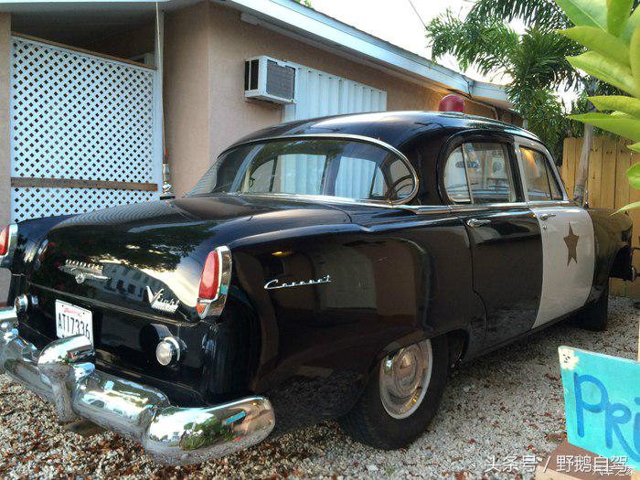 野鹅旅行,野鹅自驾无人区