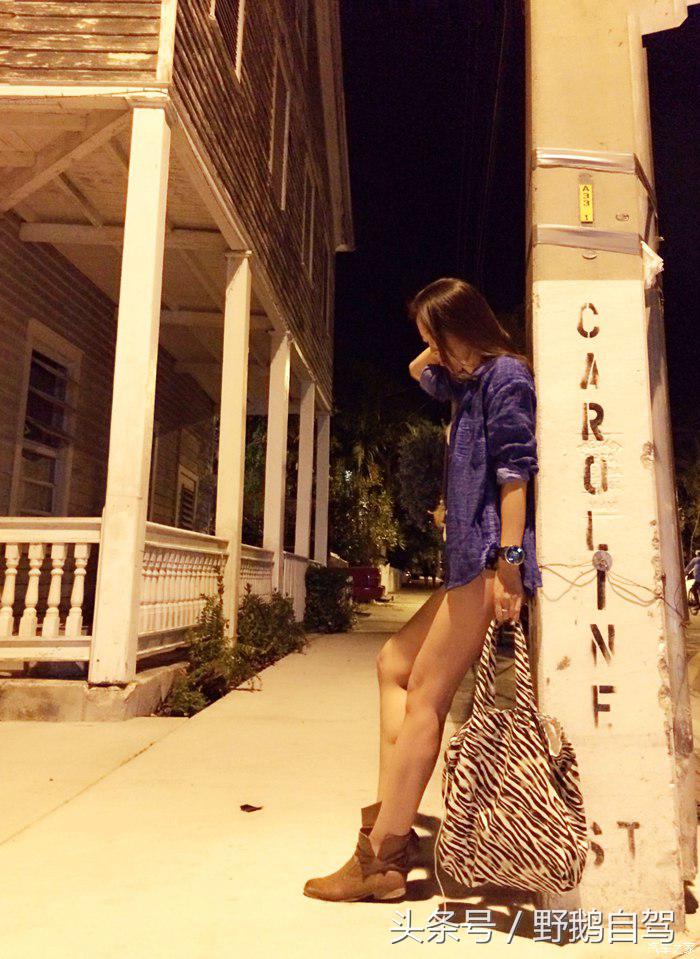 野鹅旅行,野鹅自驾无人区