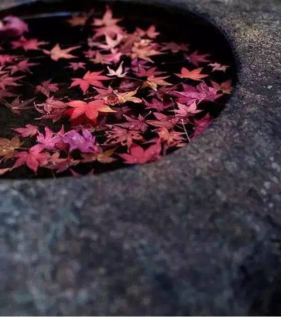 心宿旅舍,民宿推荐来一场说走就走的旅行