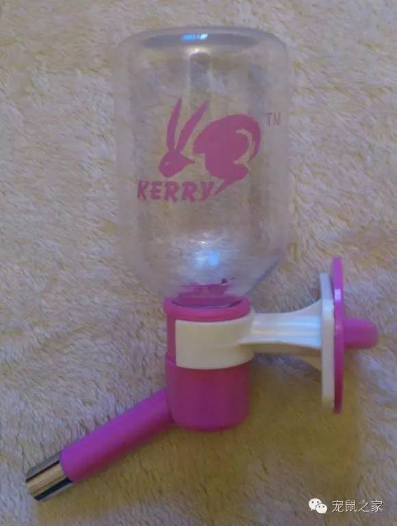 豚鼠各类饲养装备优缺点汇总之上篇