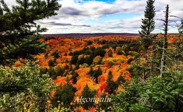 你们都错了，其实加拿大的秋季才是最厉害的时装大师