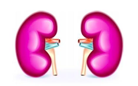 肾阳虚用右归丸还是金匮肾气丸,肾阳虚肾阴虚左归丸右归丸