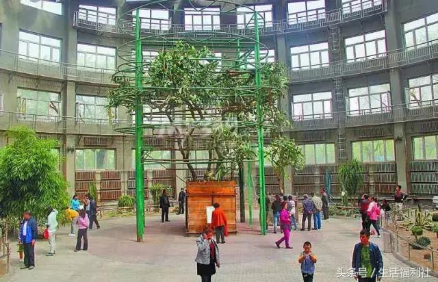 什么能够代表哈尔滨,哈尔滨代表人