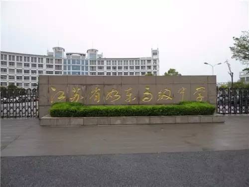 全国500强中学排行第一,全国中学500强最新排名