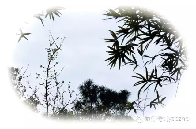 写给母亲的千古情,写给母亲的百封家书