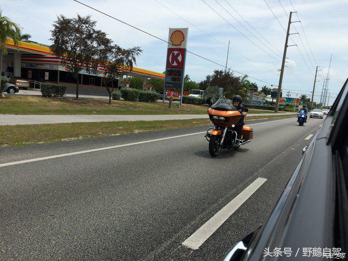 野鹅旅行,野鹅自驾无人区