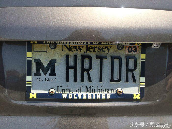 野鹅旅行,野鹅自驾无人区