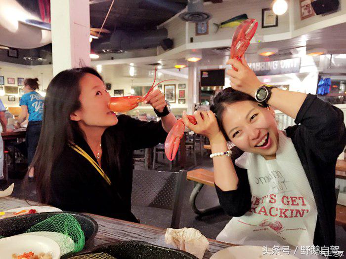 野鹅旅行,野鹅自驾无人区