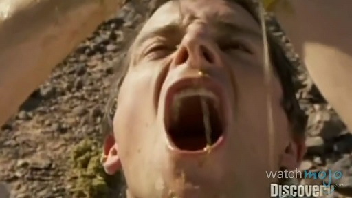 贝爷吃过最恶心的虫子,贝爷吃过十大恶心虫子