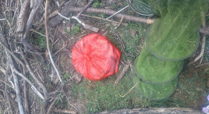 野河野钓小鲫鱼爆盆,山野小城在废弃鱼塘钓鲫鱼