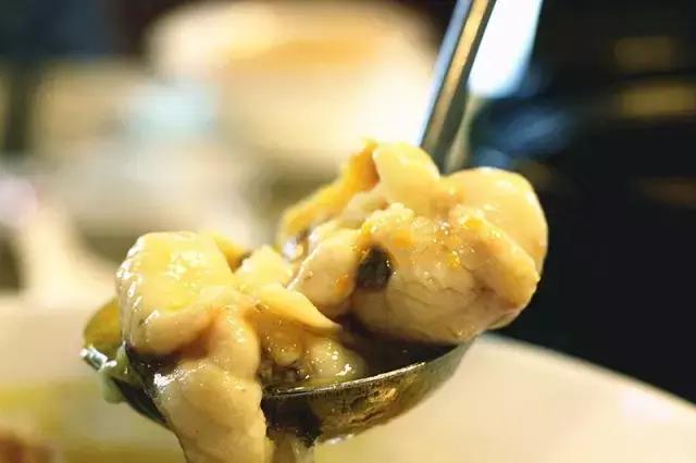 泉州海鲜界的新宠在怒吼!这条有故事的神秘鱼,带你一秒穿越侏罗