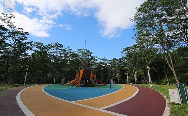 厉害了word哥图片,厉害了word哥视频