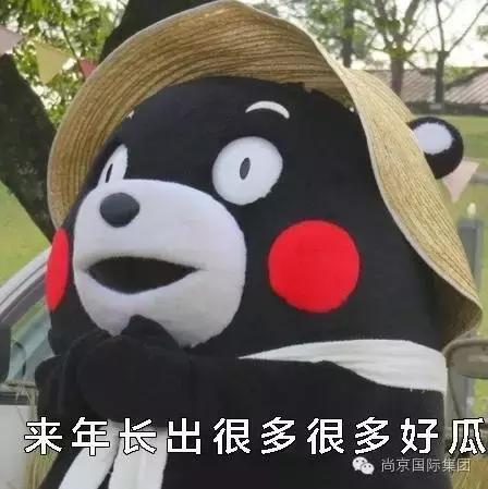 吃货的世界观,吃货的爱情观完整版