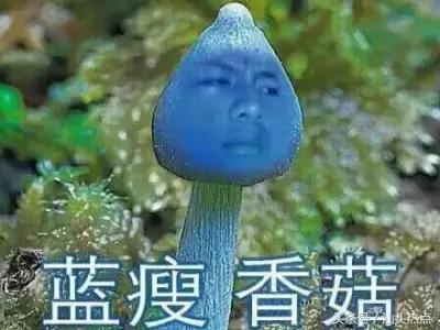 在汕头月薪100000,在汕头月入5000怎么样呢