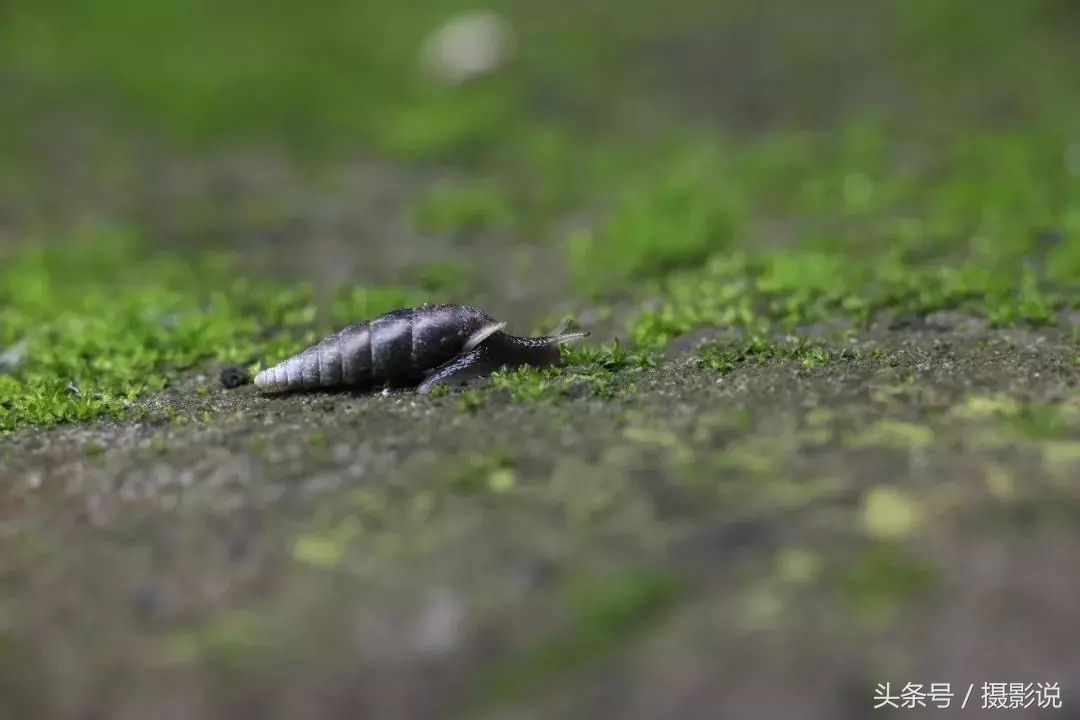 nisi耐司滤镜,nisi耐司滤镜钻石版