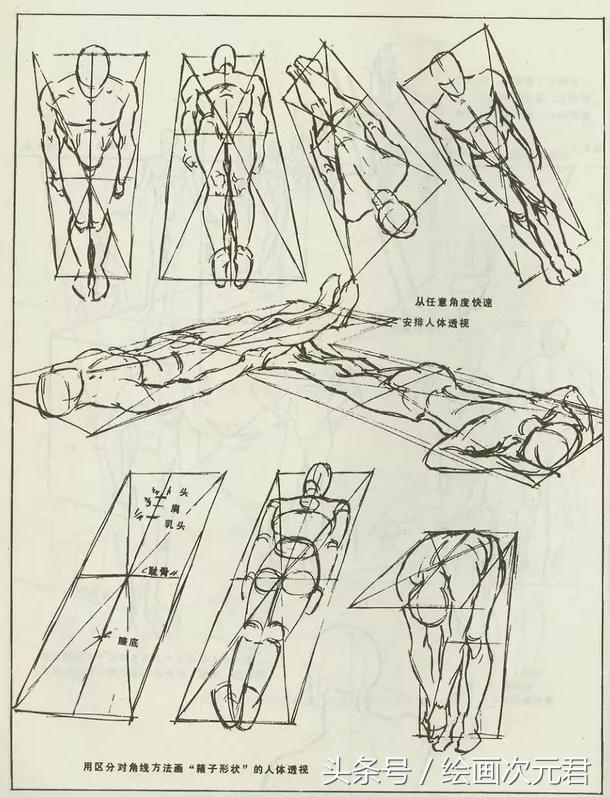 人体结构动态临摹练习册,人体结构怎么画才不僵硬