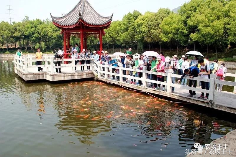 成功的休闲农庄需要具备哪些条件,做休闲农庄必须考虑的几个问题