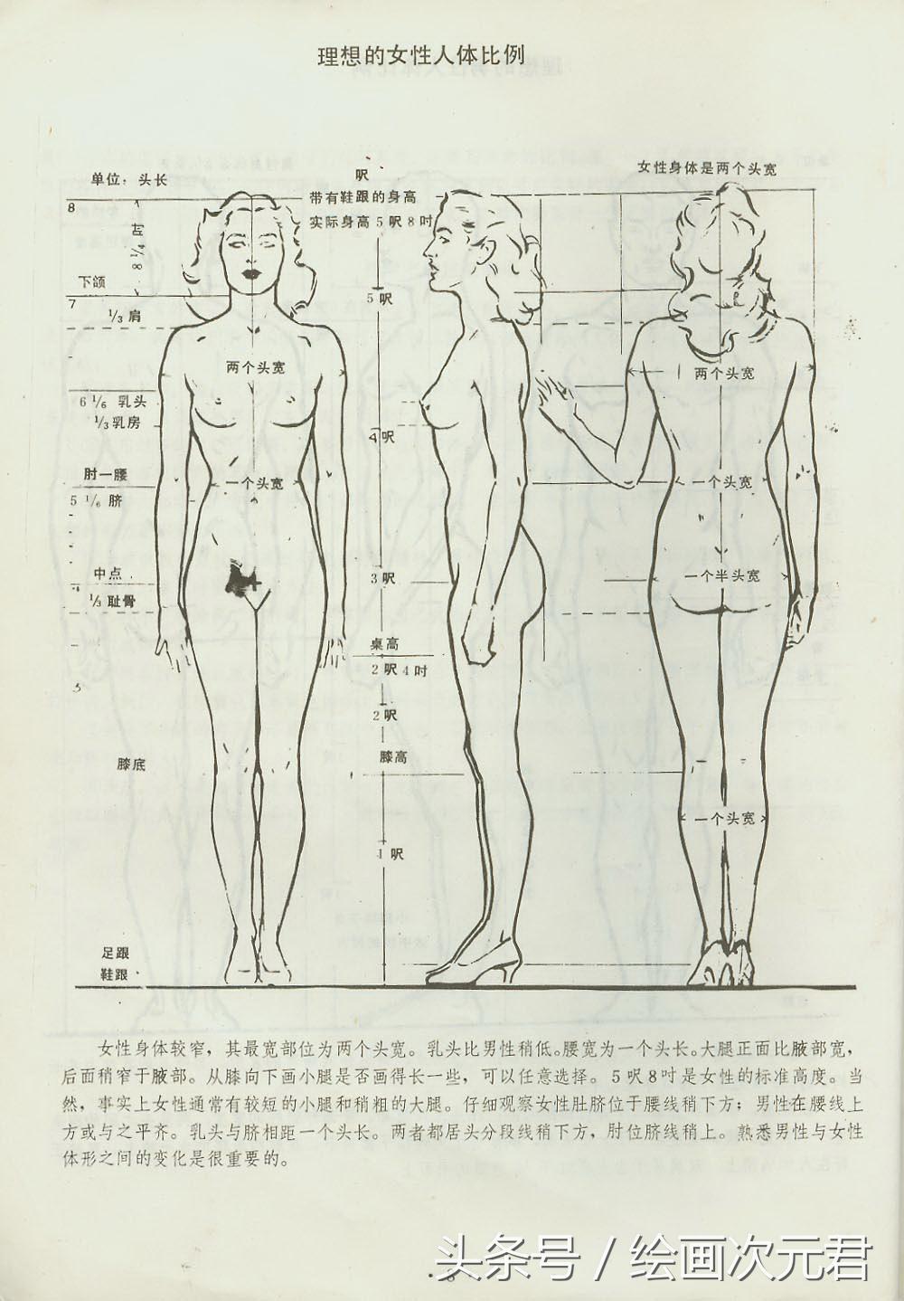 人体结构动态临摹练习册,人体结构怎么画才不僵硬