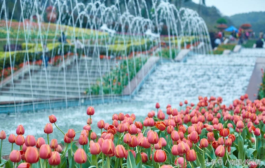 广州最值得一逛的地方旅游攻略,广州及其周边旅游羊城八景