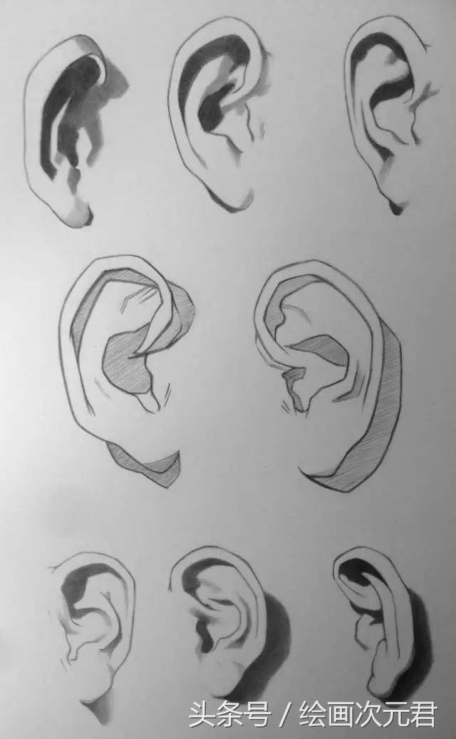 画好的人体结构画法,人体结构与动态基础教程