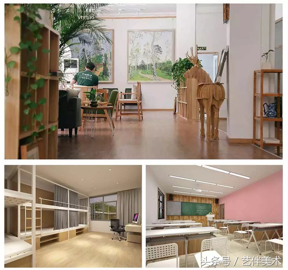 栾树画室联系方式,栾树画室有集训吗