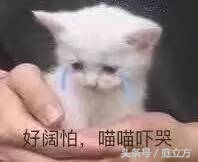 遇到楼上精神病特吵的邻居怎么办,邻居有精神问题扰民怎么办