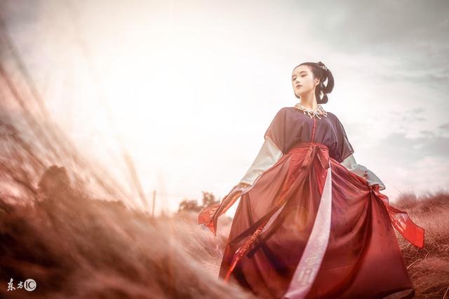 小说她初嫁王爷美文,她刚穿越就赐婚嫁给了七王爷