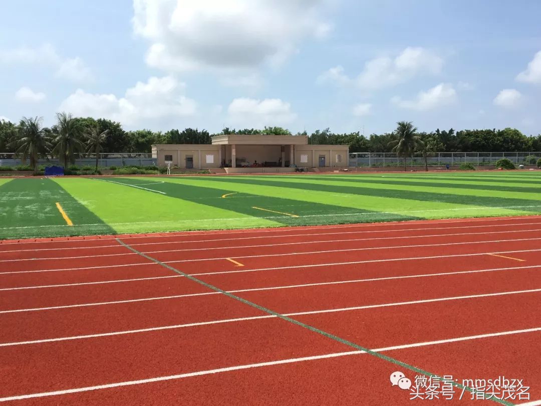 电白中学招生链接,2020年电白中学网上报名