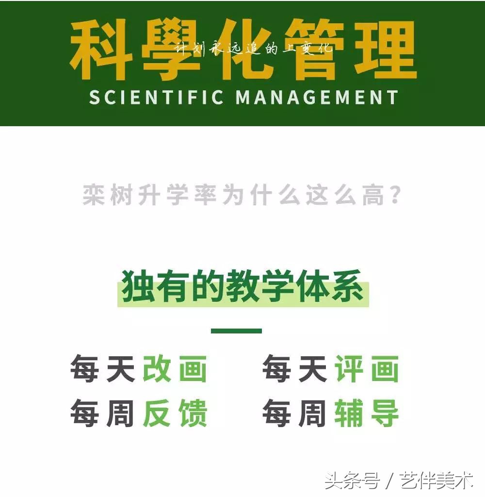 栾树画室联系方式,栾树画室有集训吗