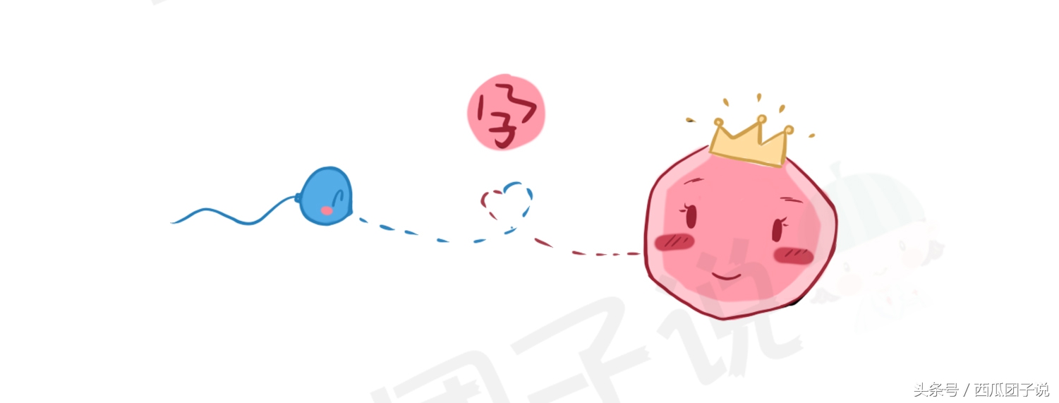 性激素6项对女性身体有什么影响,女生的性激素6项要什么才标准