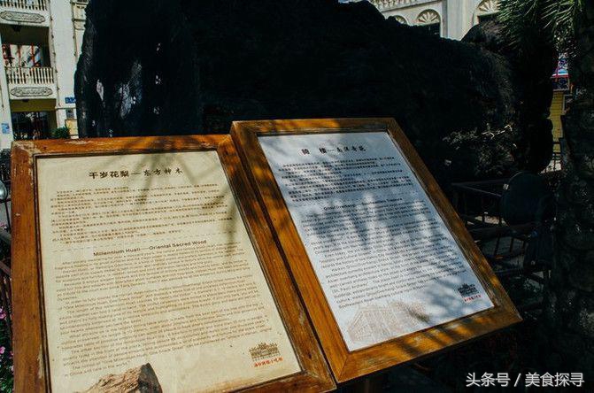 海口一座充满回忆的城市,海口的城市记忆